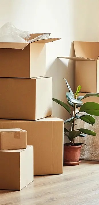 Stacked moving boxes.